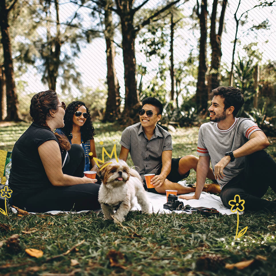 4 personnes avec un chien dans un parc faisant en pic-nic